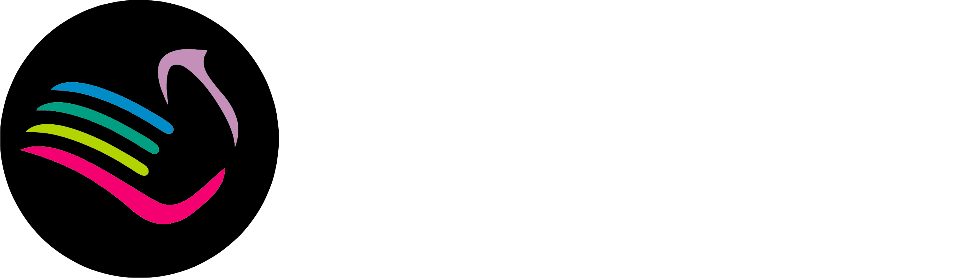 Consulta de rumv
